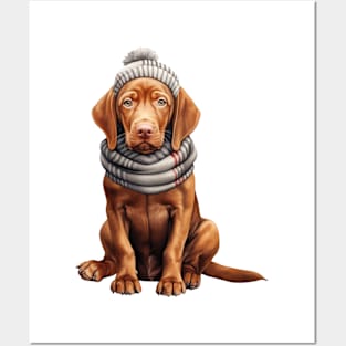 Winter Vizsla Dog Posters and Art